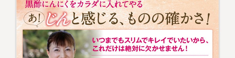 ������������B�Y�A���|�j���j�N�́y�O���̔��|�i���񂲂��݂̂��j�z���T�C�g